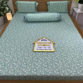 Bộ Ga Thun Mẫu Lá Nhí xanh